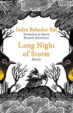 Cover for Long Night of Storm : Stories