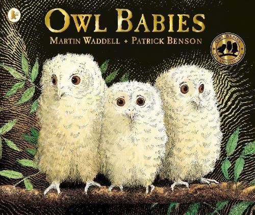 Book cover number 1 for Owl Babies written by Martin Waddell published by Walker Books