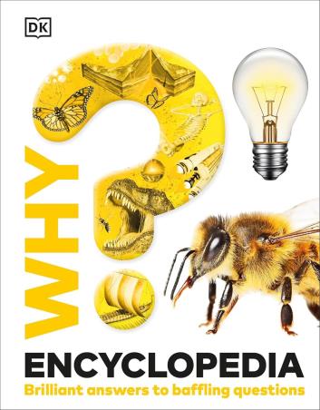 Book cover number 1 for Why? Encyclopedia : Brilliant Answers To Baffling Questions written by NA published by DK