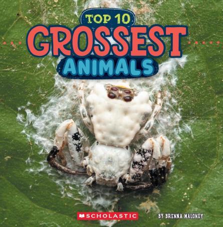 Book cover number 1 for Top 10 Grossest Animals written by Brenna Maloney published by Scholastic
