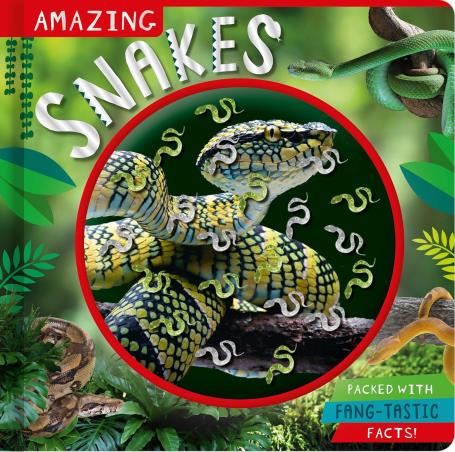 Book cover number 1 for Amazing Snakes written by Rosie Greening published by Make Believe Ideas Ltd.