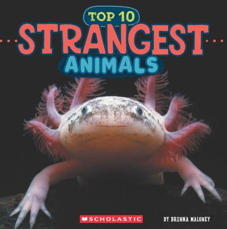 Book cover number 1 for Strangest Animals written by Brenna Maloney published by Scholastic