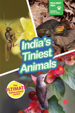 Book cover number 1 for India's Tiniest Animals written by NA published by Juggernaut