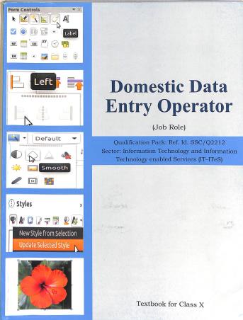Book cover number 1 for NCERT Domestic Data Entry Operator (Job Rule) Textbook For Class 10 written by NA published by National Council Of Educational Research And Training